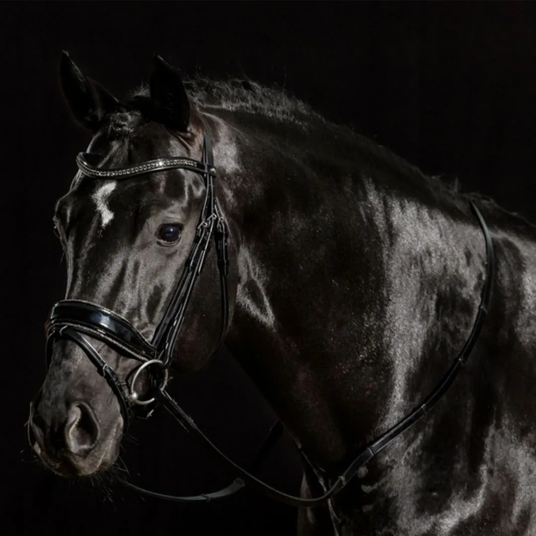 Schockemöhle Stanford Glam Dressage Bridle